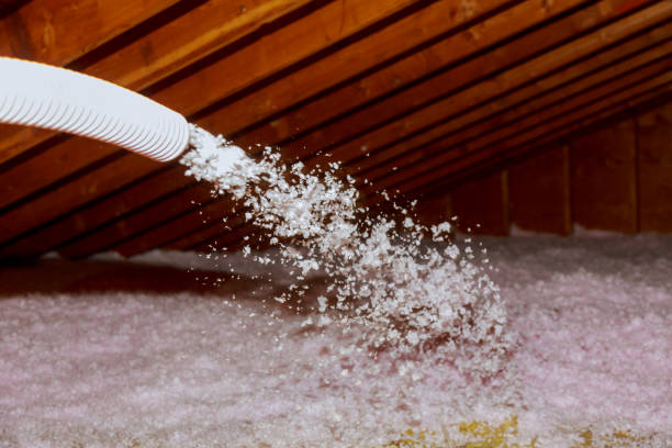 Best Spray Foam Insulation in Wilderness Rim, WA