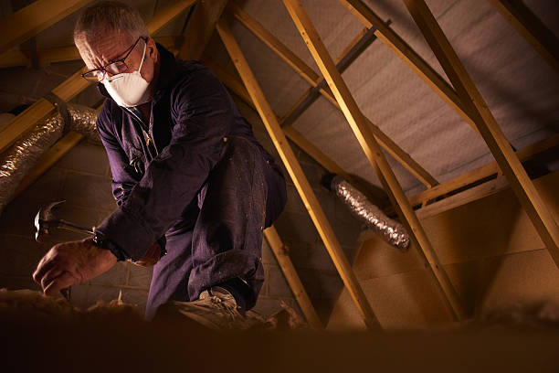 Best Geographic-Specific Insulation Services in Wilderness Rim, WA